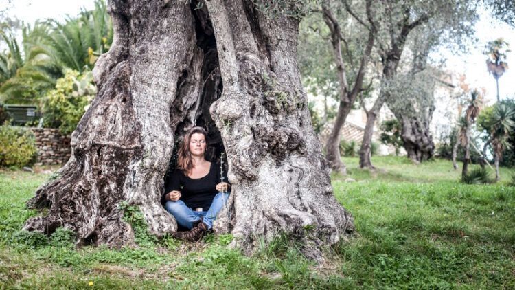 Olives, oranges, du grand art, le régime niçois de Milène Servelle