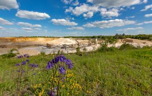 Biodiversité : la méthode Colas pour tenter de la préserver 