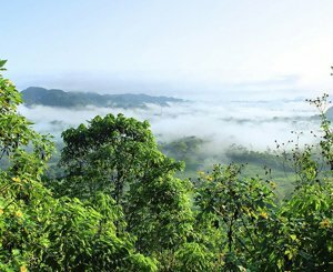 En Equateur, les vestiges de la "Cité perdue" menacés