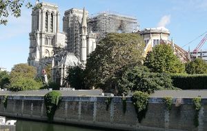 Chantier de Notre-Dame, c'est reparti !