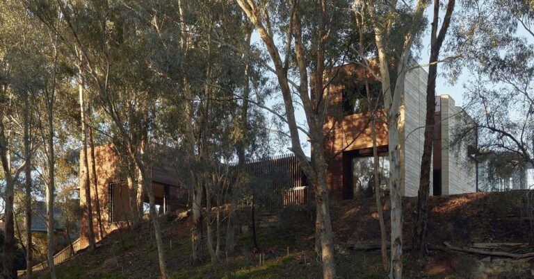 Terre crue et bois pour cette maison australienne contemporaine connectée à la nature