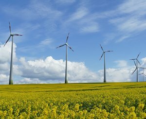 La France en retard sur ses ambitions pour l'éolien, rappelle la Cour des Comptes