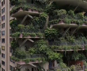Des immeubles en Chine envahis par les plantes