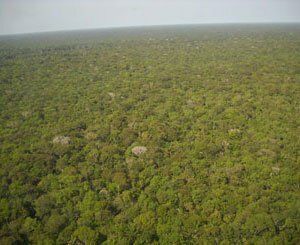 Pire mois d'août en 12 ans pour les incendies en Amazonie