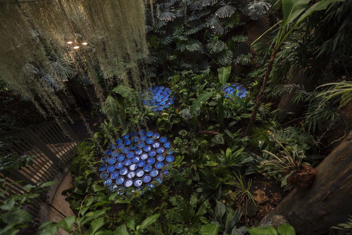 Rainforest, une installation poétique à Chaumont-sur-Loire