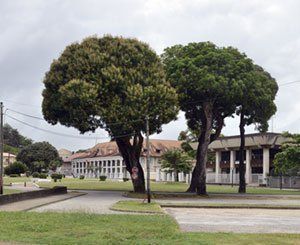 Signature d'un accord de relance avec la Collectivité Territoriale de Guyane