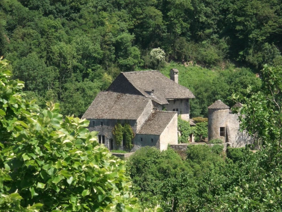 Isère : une seconde vie pour la toiture d'un château du XIIIe siècle