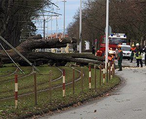 Tempête Xynthia : certaines indemnisations réévaluées en appel