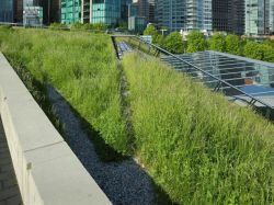 Paris lance un outil pour évaluer la performance "biodiversité" des projets immobiliers