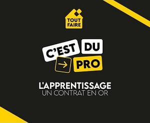 L'apprentissage, un contrat en or