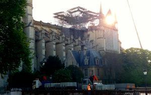 Notre-Dame : la décontamination a commencé