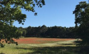 Territoires engagés pour la nature