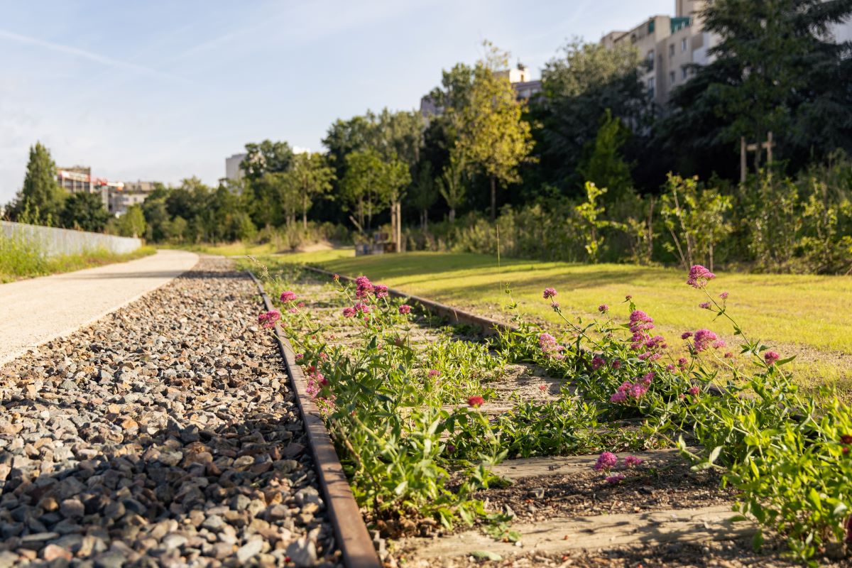 Forêt urbaine : quand les Parisiens voient un héron tous les matins depuis leur fenêtre