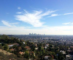 Los Angeles s'allie à Google pour cartographier ses arbres et lutter contre la chaleur