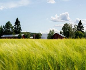 Des agriculteurs misent sur l'habitat léger pour s'installer, non sans mal