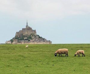 Un éleveur de prés-salés de la baie du Mont-Saint-Michel refuse de détruire sa bergerie