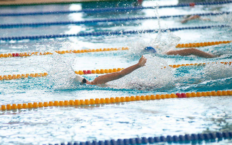 toulouse va r cup rer un bassin des jo pour sa cit de la natation