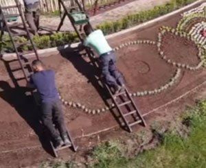 Les jardiniers du Domaine national de Saint-Cloud vous présentent la mosaïque fleurie 2021