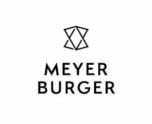 L'action de Meyer Burger s'effondre après l'annonce d'une nouvelle stratégie