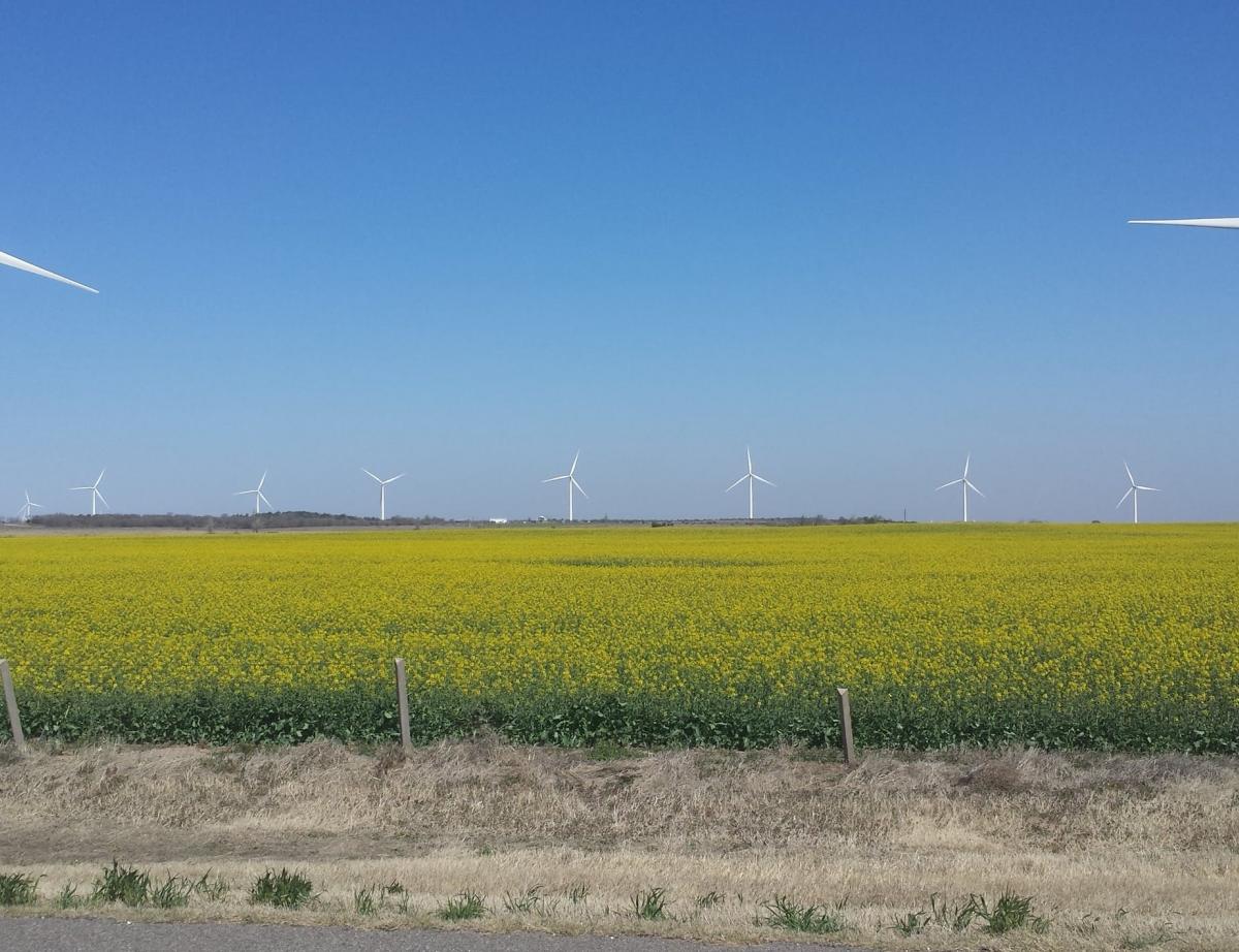 De l'hydrogène vert sera produit dès 2021 en Vendée