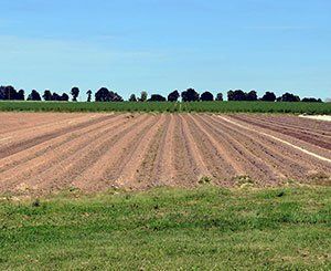 L'artificialisation et la financiarisation des terres agricoles s'intensifient