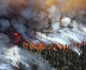 6.500 hectares incendiés et 4.000 pompiers mobilisés durant la canicule en France