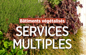 BATIMENTS VEGETALISES