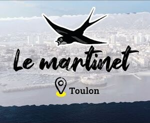 Biodiversité, territoires engagés : la ville de Toulon protège les martinets