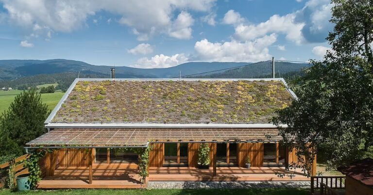 Une modeste maison bois et son toit végétalisé au coeur d’un verger tchèque