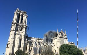Notre-Dame: reconstruire la charpente en bois est "probablement la bonne solution"