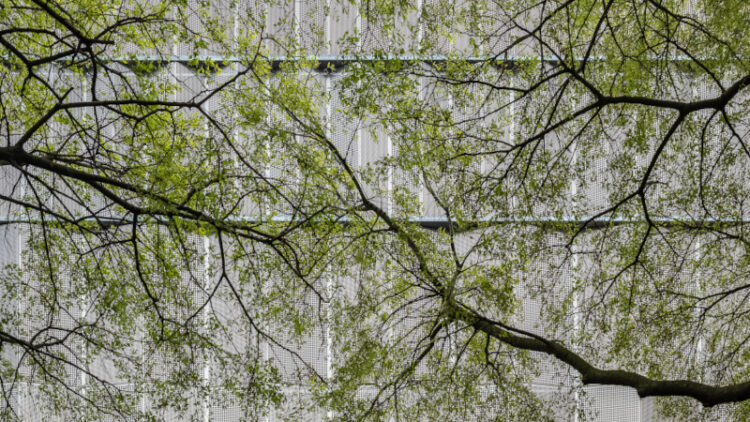 À Toulouse, Bâtiment Rempart signé Bruno Gaudin et Scalene