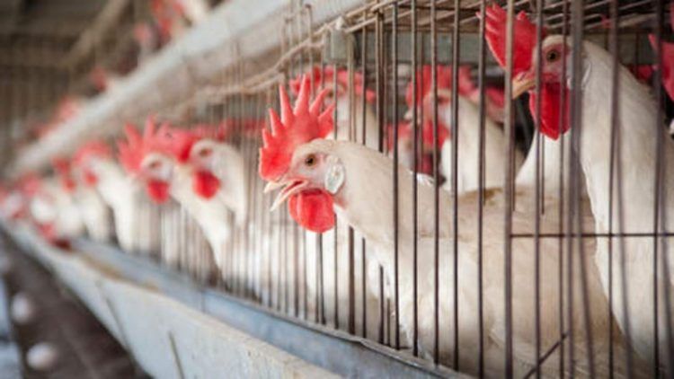 Alerte aux déviants : dans dix ans, comme là-bas, ici