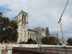 Notre-Dame de Paris : accord de principe pour une reconstruction avec du bois et du plomb