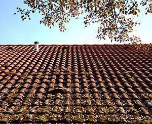 Decorus, la solution 100% naturelle de Biocinov pour éradiquer les dépôts verts sur les toitures et terrasses