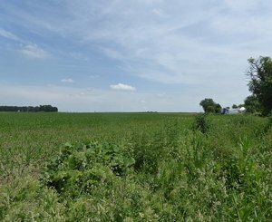 Une semaine de camping sauvage pour défendre les terres du Triangle de Gonesse contre la bétonisation