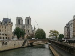 Notre-Dame : les formations de tailleurs de pierres veulent aider à reconstruire