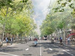 Lyon lance le verdissement du boulevard de la Croix-Rousse