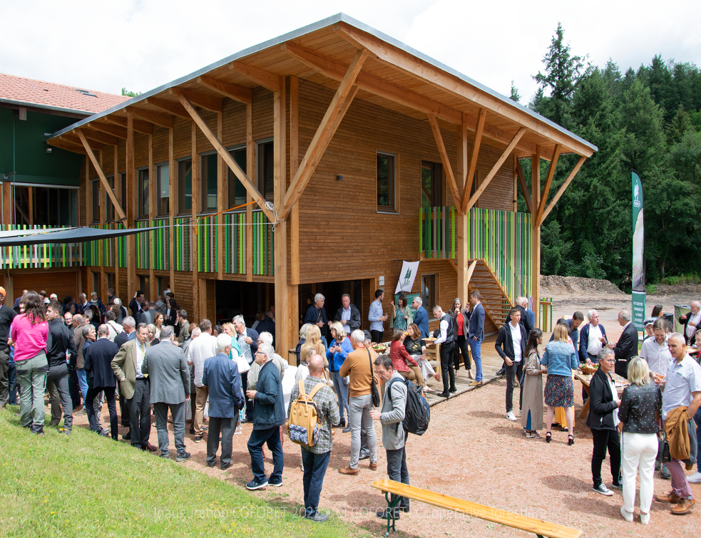 La frugalité au pays des forêts