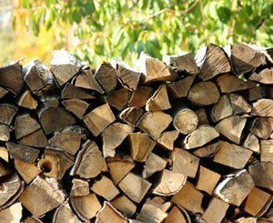 Covid-19 : SFCB écrit au nouveau gouvernement pour sauver la filière bois-énergie