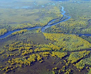 Les incendies qui ravagent le Pantanal au Brésil, liés à l'expansion agricole et au changement climatique