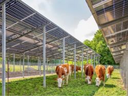 Spie va réaliser la sous-station du plus grand parc agri-solaire d'Europe