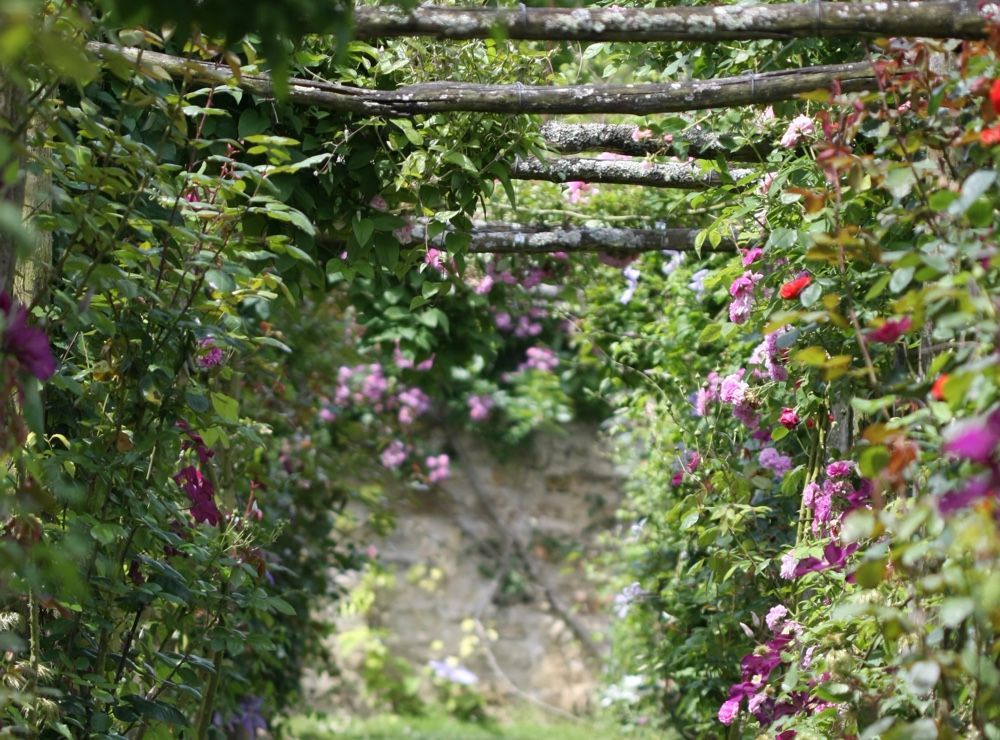 Rendez-vous aux jardins début juin 2022