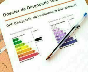 DPE : la Cour des comptes recommande une carte professionnelle de diagnostiqueur