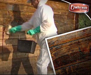 Rénover un abri de jardin avec Owatrol® AQUANETT et NET-TROL
