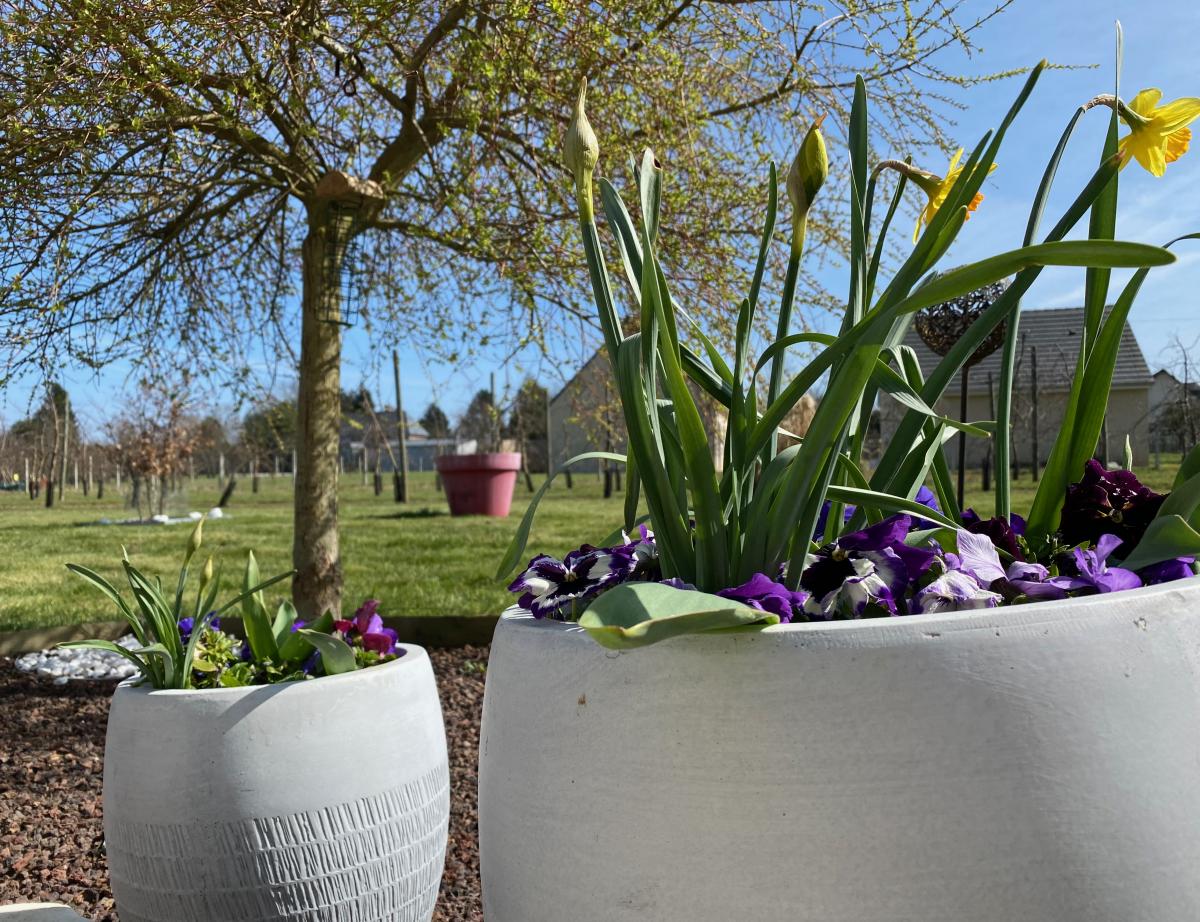 Les achats de maisons à la campagne fleurissent avec la crise