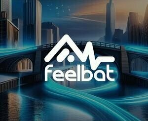 Application Feelbat