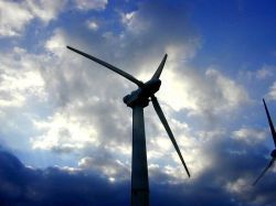 Éoliennes : des associations demandent la fin de "l'invasion" en Picardie
