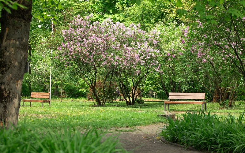 en france l acc s aux espaces verts tr s disparate dans les centres urbains