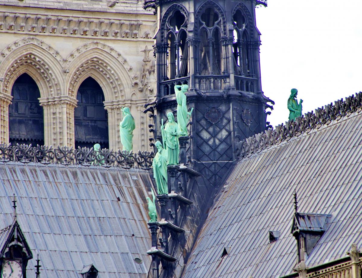 Début du sciage de huit chênes exceptionnels destinés à Notre-Dame de Paris