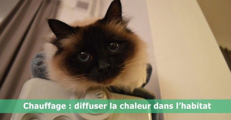 Chauffage : diffuser la chaleur dans l’habitat